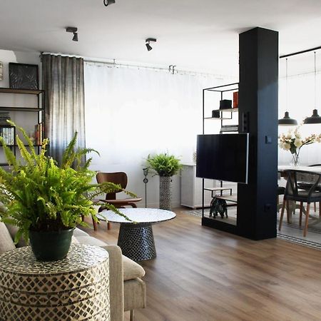 Torre Paris Διαμέρισμα Αλικάντε Εξωτερικό φωτογραφία